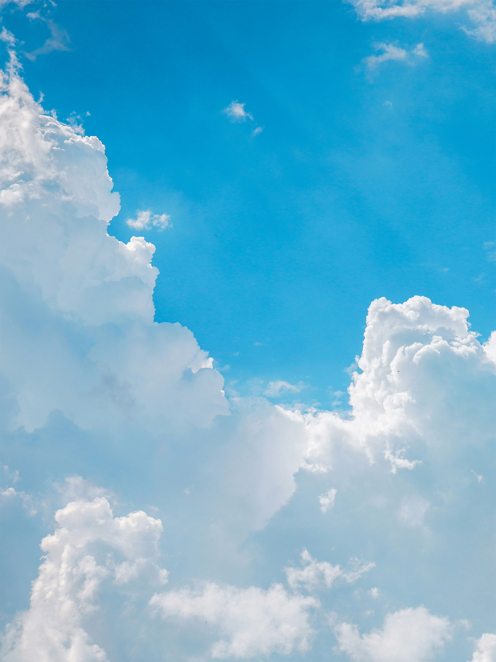 banner-img